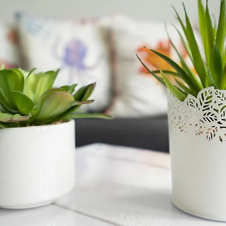 Ostseecamp Luebecker Bucht 